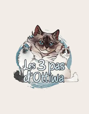 Des 3 Pas d'Ottiwa